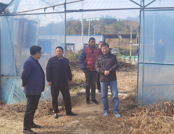 1702005007207663.jpg 微信图片_20231207111540.jpg